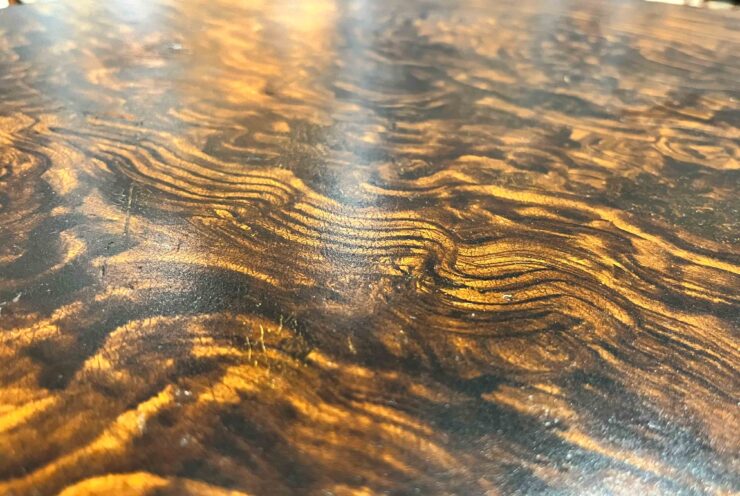 фото: Мирослава Ляхович